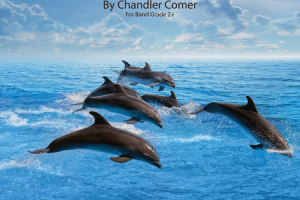 Where Dophins Play